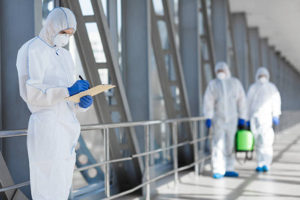  Lexington, MN Mold Removal Pros