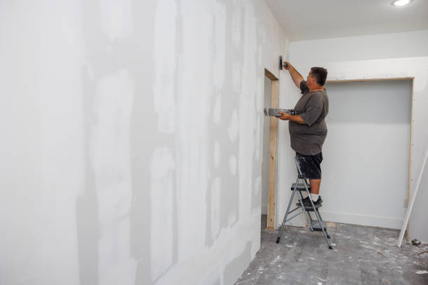 Best Airborne Mold Testing  in Lexington, MN