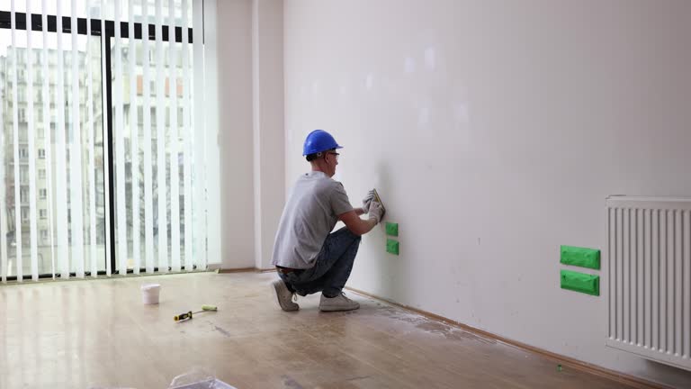 Best Black Mold Removal  in Lexington, MN