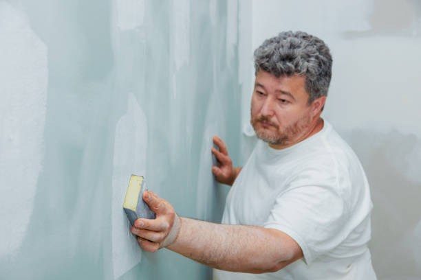 Best Asbestos and Lead Testing During Mold Inspection  in Lexington, MN
