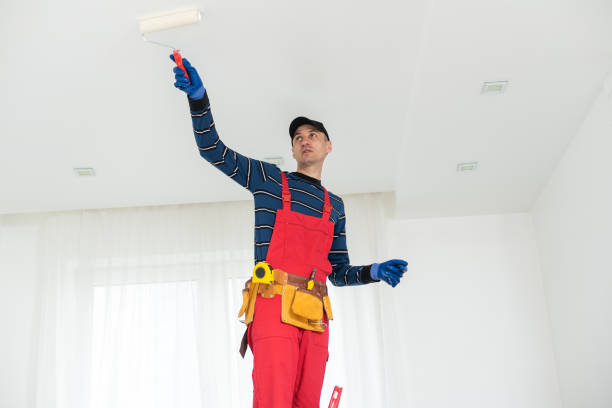 Best Dehumidification Services  in Lexington, MN