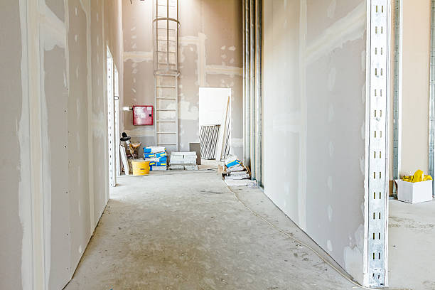 Best Post-Remediation Verification Testing  in Lexington, MN