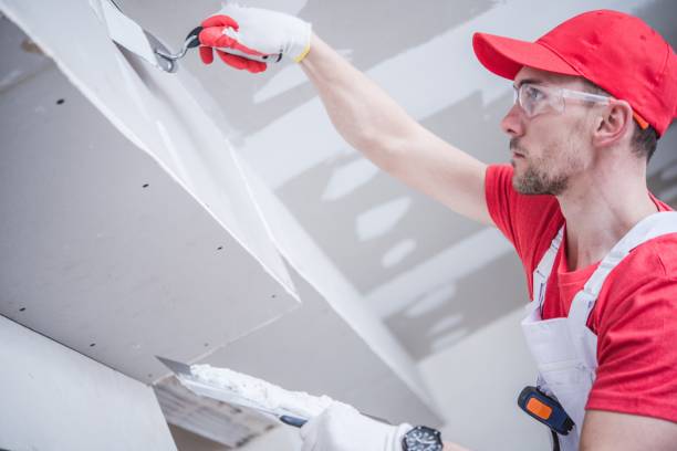 Best Water Damage & Mold Remediation  in Lexington, MN