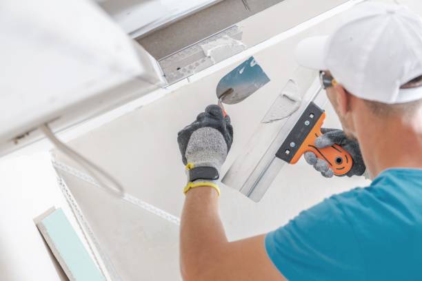 Best Mold Prevention Services  in Lexington, MN